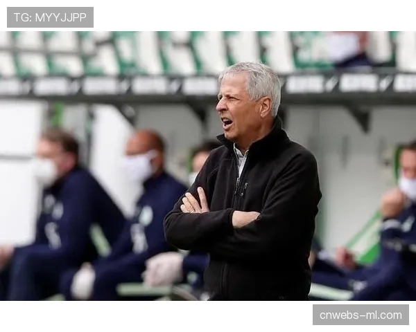 前德甲球员涉嫌违规投注被调查,德国足协启动纪律程序